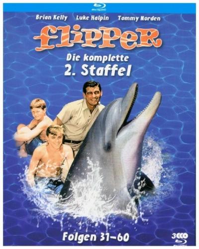 Flipper