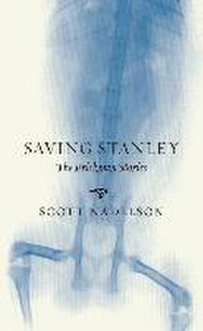 Nadelson, S: Saving Stanley