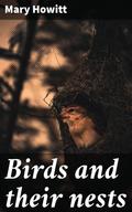 Birds and their nests