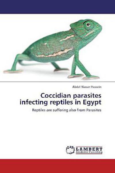 Coccidian parasites infecting reptiles in Egypt