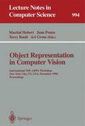 Object Representation in Computer Vision