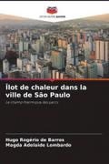 Îlot de chaleur dans la ville de São Paulo