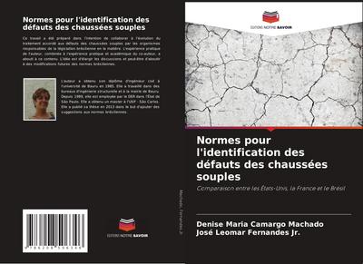 Normes pour l’identification des défauts des chaussées souples