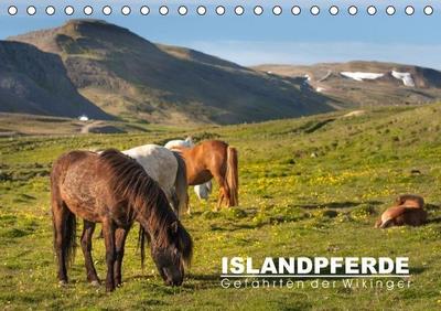 Islandpferde: Gefährten der Wikinger (Tischkalender immerwährend DIN A5 quer)