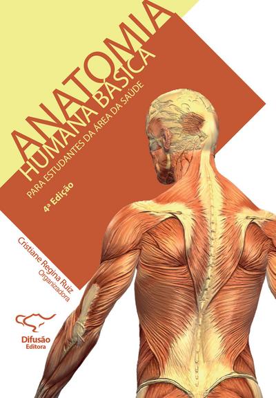 Anatomia humana básica