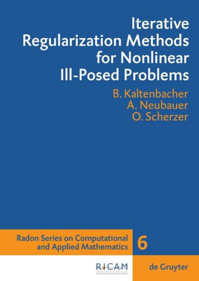 Iterative Regularization Methods for Nonlinear Ill-Posed Problems