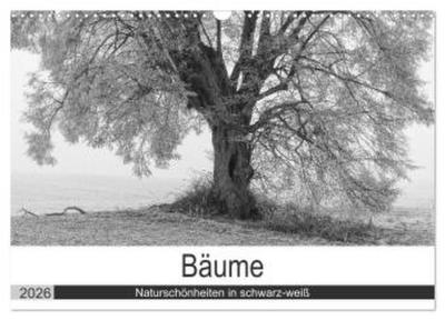Bäume - Naturschönheiten in schwarz-weiß (Wandkalender 2026 DIN A3 quer), CALVENDO Monatskalender