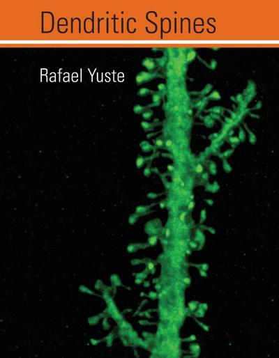 Dendritic Spines