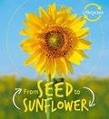 Lifecycles: Seed to Sunflower