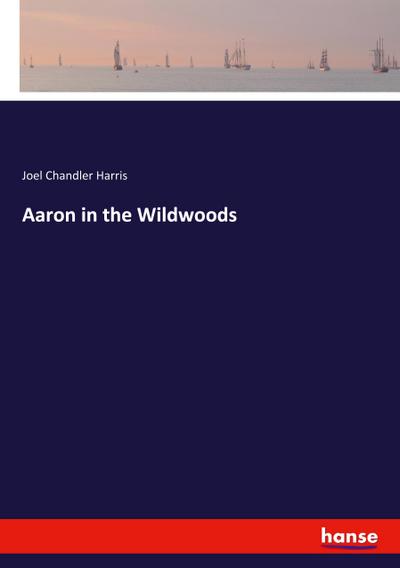 Aaron in the Wildwoods