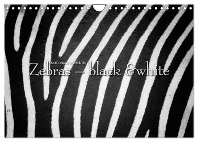 Emotionale Momente: Zebras - black & white. (Wandkalender 2024 DIN A4 quer), CALVENDO Monatskalender