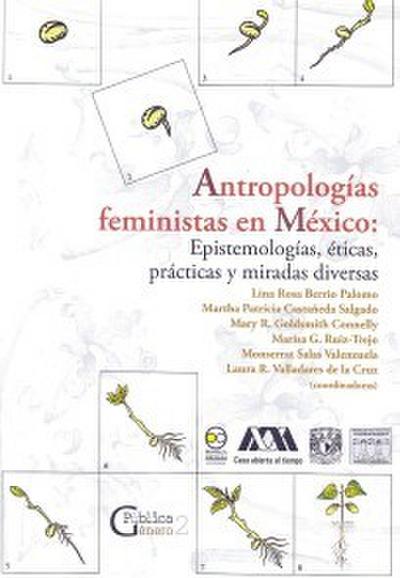 Antropologías feministas en México