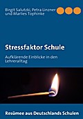 Stressfaktor Schule - Birgit Salutzki
