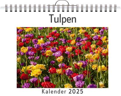 Klein, L: Tulpen