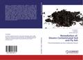 Remediation of Dioxins Contaminated Soil and Fly A