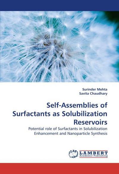 Self-Assemblies of Surfactants as Solubilization Reservoirs