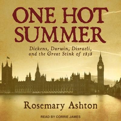 One Hot Summer Lib/E: Dickens, Darwin, Disraeli, and the Great Stink of 1858