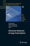 Dimension Reduction of Large-Scale Systems