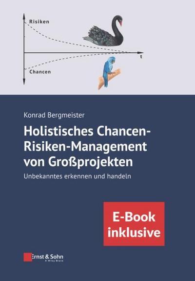 Holistisches Chancen-Risiken-Management von Großprojekten