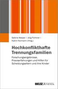 Hochkonflikthafte Trennungsfamilien