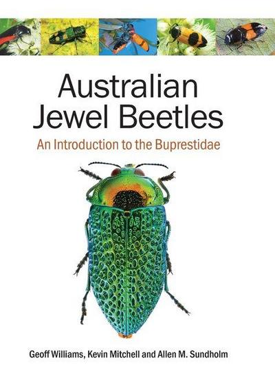 Australian Jewel Beetles