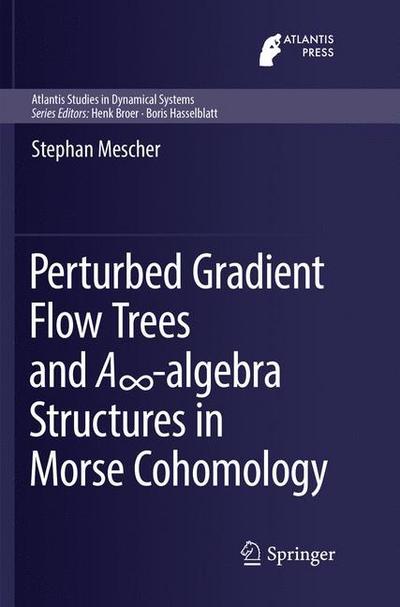 Perturbed Gradient Flow Trees and A¿-algebra Structures in Morse Cohomology