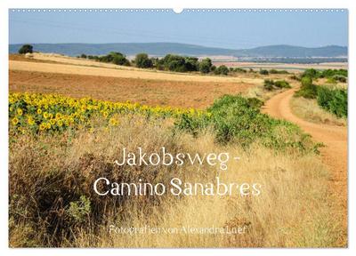 Jakobsweg - Camino Sanabres (Wandkalender 2024 DIN A2 quer), CALVENDO Monatskalender