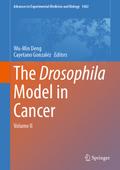The Drosophila Model in Cancer