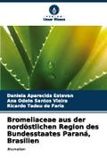 Bromeliaceae aus der nordöstlichen Region des Bund
