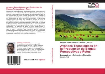 Avances Tecnológicos en la Producción de Biogas: Perspectivas y Retos