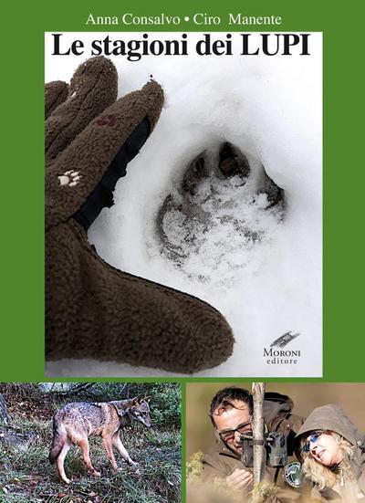 Consalvo, A: Stagioni dei lupi
