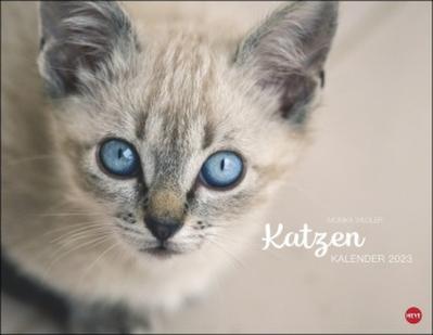 Katzenkalender 2023. Wandkalender mit 12 traumhaft schönen Fotos der renommierten Fotografin Monika Wegler. Tierkalender 2023 Querformat 44x34 cm.