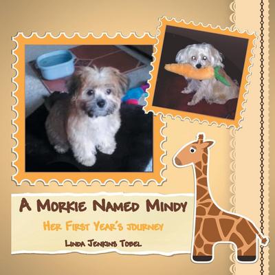 A Morkie Named Mindy