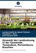 Dynamik der Landnutzung in der Gemeinde Tamandaré,