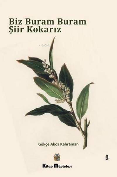 Biz Buram Buram Siir Kokariz