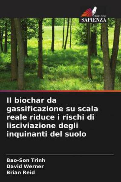 Il biochar da gassificazione su scala reale riduce i rischi di lisciviazione degli inquinanti del suolo