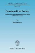 Gemeinwohl im Prozess