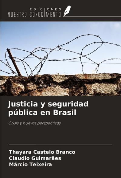 Justicia y seguridad pública en Brasil