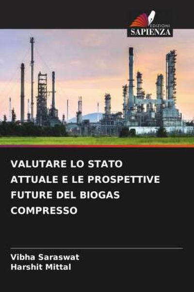 VALUTARE LO STATO ATTUALE E LE PROSPETTIVE FUTURE DEL BIOGAS COMPRESSO