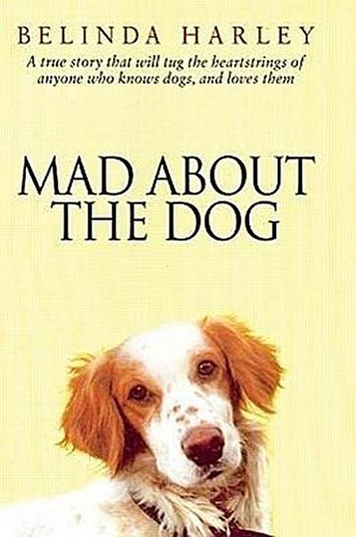 Mad about the Dog