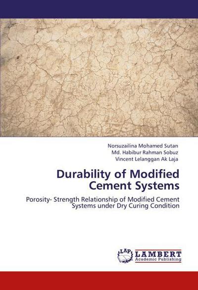 Durability of Modified Cement Systems