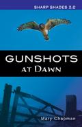 Gunshots at Dawn