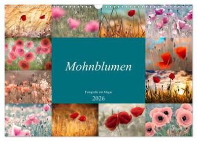 Mohnblumen - Fotografie mit Magie (Wandkalender 2026 DIN A3 quer), CALVENDO Monatskalender