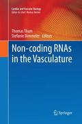 Non-coding RNAs in the Vasculature