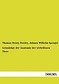 Grundzüge der Anatomie der wirbellosen Tiere