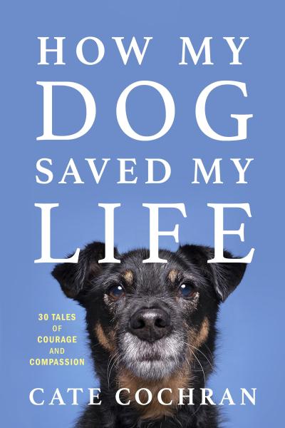 How My Dog Saved My Life