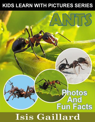 Ants Photos and Fun Facts for Kids (Kids Learn With Pictures, #133)