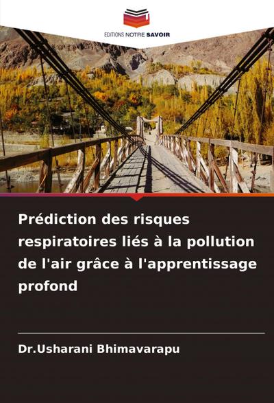 Prédiction des risques respiratoires liés à la pollution de l’air grâce à l’apprentissage profond