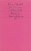 Ein Feuerchen im Hintennach: Gedichte 1986–1991 (edition suhrkamp)
