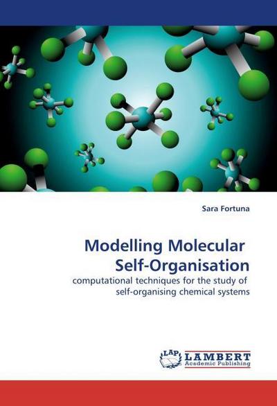 Modelling Molecular  Self-Organisation